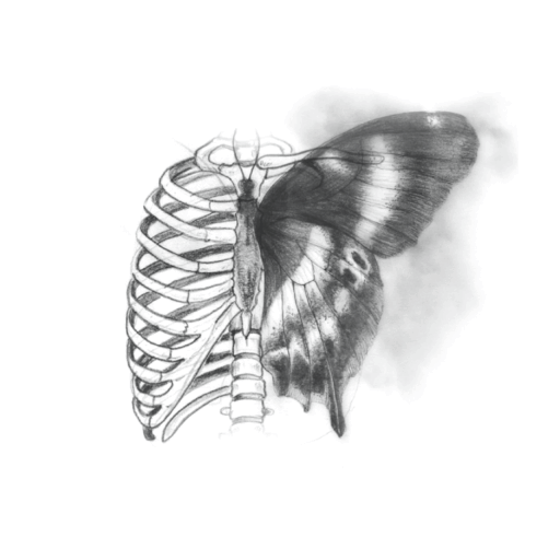 cropped-Branding_NFCD_icono