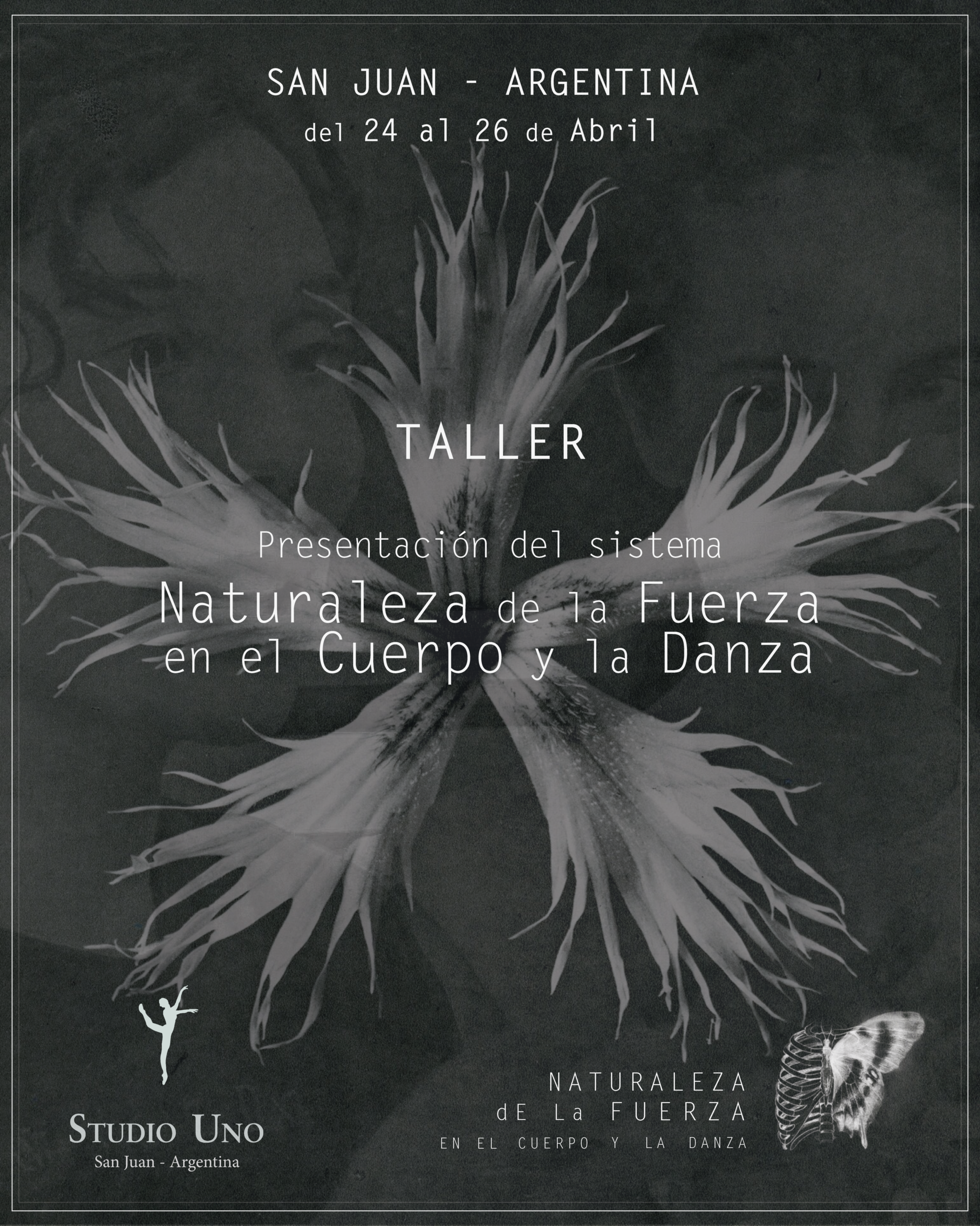 FLAYER borrador