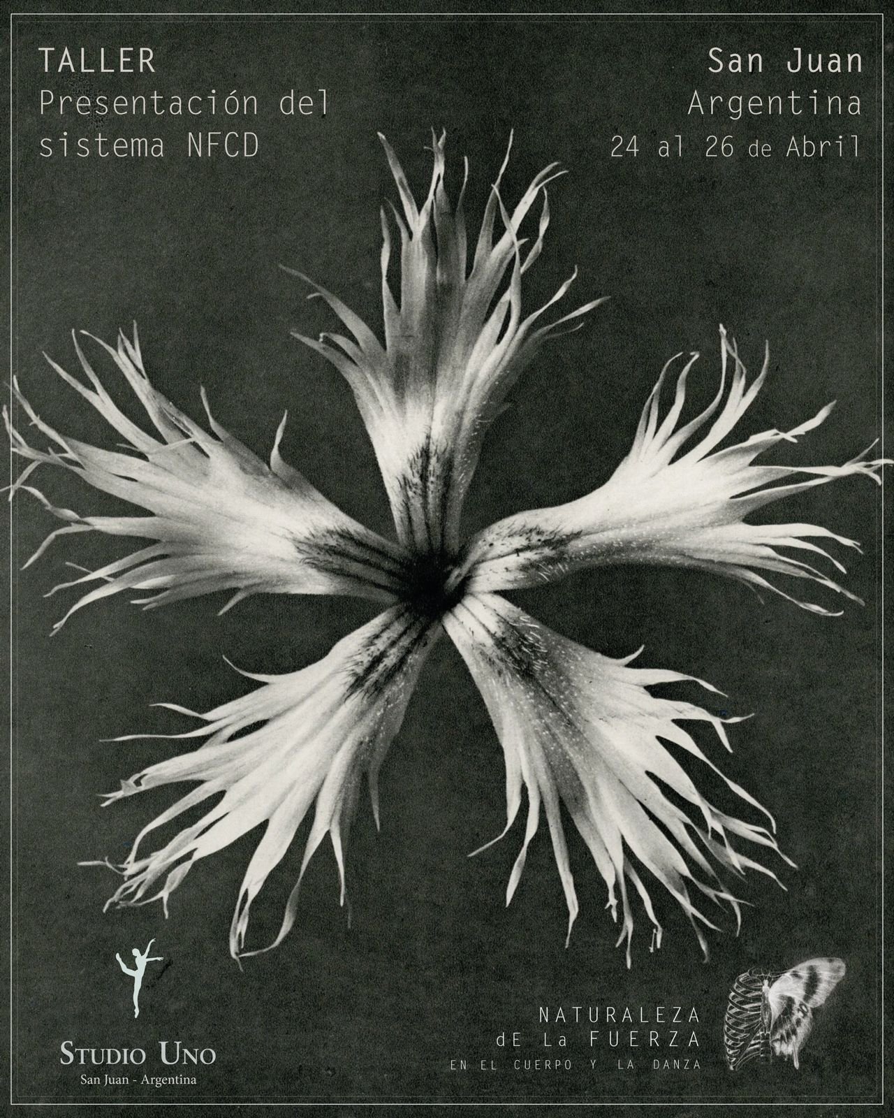 Flayer Flor San Juan