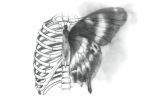 cropped-Branding_NFCD_icono
